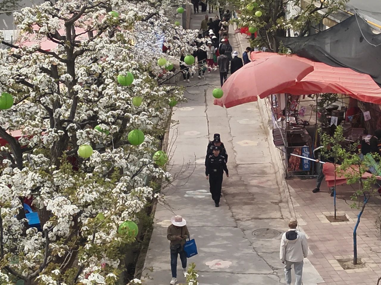 梨花節(jié)巡邏